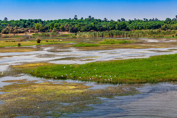 River Nile in Egypt. Life on the River Nile