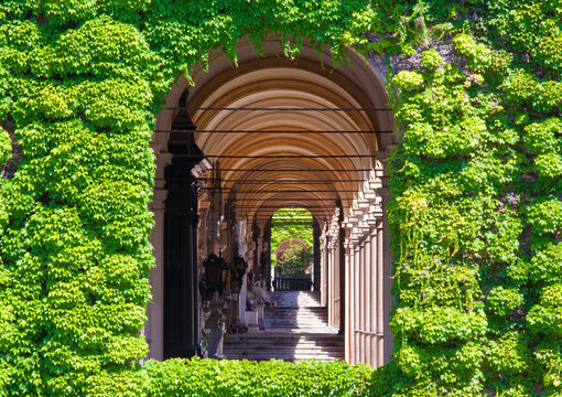 Croatia - Zagreb - Window framed with vegetation into the burial gallery on Mirogoj cemetry