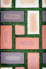 Grasses Growing Between Floor Paving Block