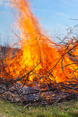 Bonfire at the summer cottage. Flames from dry burning branches on the field, debris destruction....