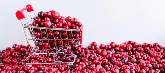 Shopping Trolley with ripe fresh cranberries as natural, food, berries, buying vitamins banner. Selective focus.	