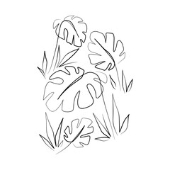 Vector Illustration of Elegant Botanical Line Art. Good for Cover, Poster, Card, and other.