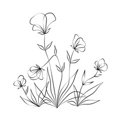 Vector Illustration of Elegant Botanical Line Art. Good for Cover, Poster, Card, and other.