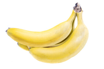 Organic ripe yellow Canarian bananas from La Palma island. Platano de Canarias type bananas