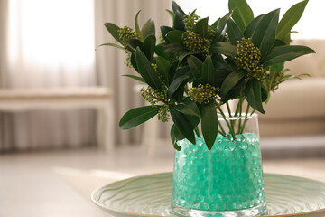 Mint filler with green branches in glass vase on table at home, space for text. Water beads