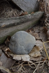 Rock placed over a pile of leafs.