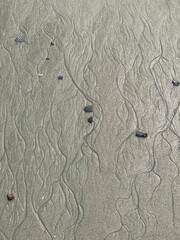 Wavy Designs In The Sand With Pieces Of Shells (Abstract)