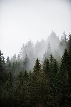 fog in the mountains © Benjamin