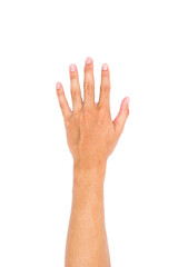 Man Left hand showing the five fingers, Hand held up and fingers outstretched isolated on white...