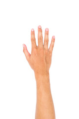Man Right hand showing the five fingers, Hand held up and fingers outstretched isolated on white...