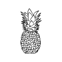 Pineapple illustration in black isolated on white background.Illustration in ink hand drawn style.