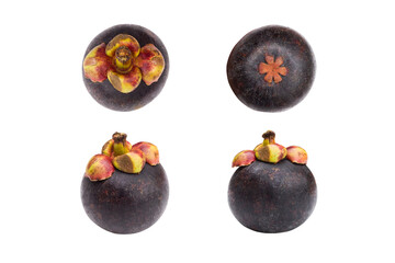 Set Mangosteen isolated on white background.