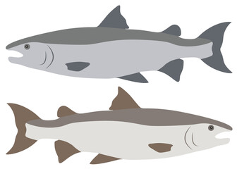 Salmon fish gray and beige in the set.
