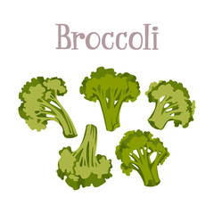 Fresh tasty broccoli inflorescence. Healthy nutrition product.