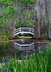 USA, South Carolina, Magnolia Gardens. Wooden footbridge reflects in pond.