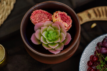 Wedding table decoration: in a pot of echeveria and roses