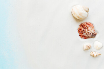 Travel, vacation concept. Sea shells on sand and blue background. Travelling