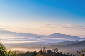 Morning fog faded in the Valley.