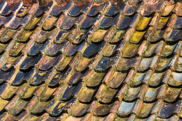 USA, South Carolina, Charleston. Roof tiles on Boone Hall Plantation.