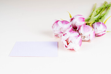 biglietto di auguri con spazio vuoto per scrivere e quattro tulipani rosa su uno sfondo bianco. invito. vista frontale