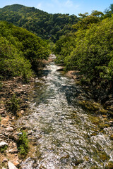 Fototapeta na wymiar Clear running river surrounded by lush tree foliage, a forest. immersed in nature. background