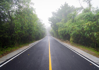 Fototapeta na wymiar Road in faded fog at Khao Yai National Park, Pak Chong, Nakhon Ratchasima, Thailand.