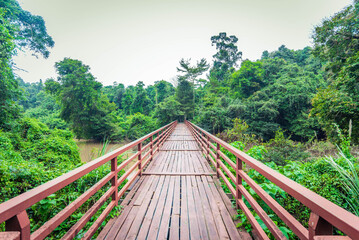 Wooden bridge over the river at Khao Yai National Park, Pak Chong, Nakhon Ratchasima, Thailand.