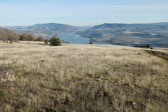 View of the Columbia River Gorge seen from the Washington state side, on a nice sunny day.
