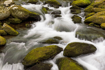 Moss covered boulders and flowing stream. Little Pigeon River, Great Smoky Mountains National Park, Tennessee.