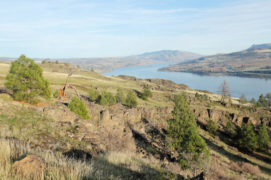 View of the Columbia River Gorge seen from the Washington state side, on a nice sunny day.
