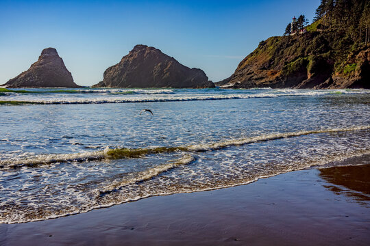 Heceta Head Lighthouse Oregon