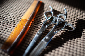 home haircut tools (comb, scissors)