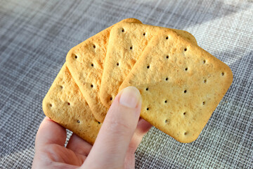 A woman is hand holds several square crackers in a fan.