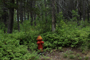 Fire hydrant in Glacier National Park