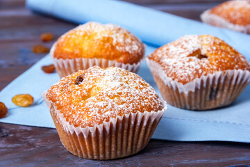 Mini muffins with icing sugar on blue napkin on wooden table.