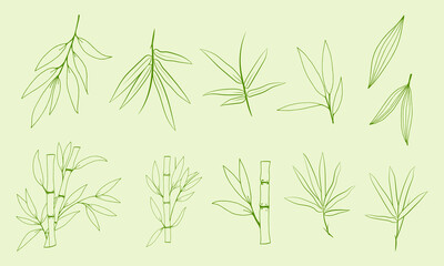 Hand drawn illustration with bamboo stem and leaves. Set of bamboo tree leaves. Hand drawn botanical collection. Drawing of parts of bamboo and sections of branches and leaves on a green background. 