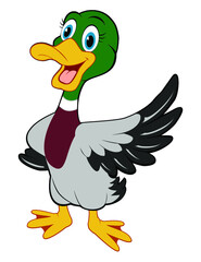 Cartoon Mallard Duck