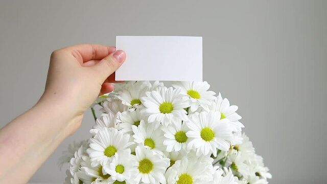 Woman's hand holding a blank greeting card with daisies. Thank you message