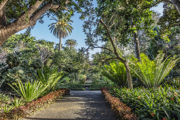 Botanical Garden in Puerto de la Cruz. Many exotic tropical and sub-tropical plants are to found within its grounds. Puerto de la Cruz, Tenerife, Canary Islands, Spain.