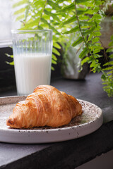 
French croissant on a light plate. He stands near the window. Next to a glass of milk and plant