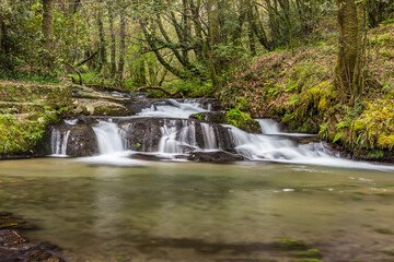 waterfall inside the forest in Meis, Pontevedra
