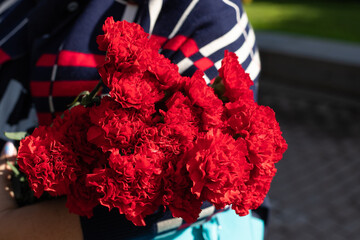 Concept of May 9 russian holiday Victory Day. bouquet of Red carnations isolated on white background. flowers on the memorial to fallen soldiers,symbol of mourning.copy space