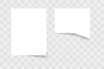 White realistic blank paper page with shadow and torn paper page isolated on transparent background. Size sheet paper A4 . Template for you design. Vector