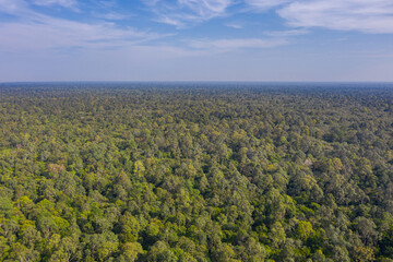 Fototapeta na wymiar Panorama aerial view over the last untouched asian rainforest. The jungle extends to the horizon. Lush vegetation and green treetops. Habitat for countless wild endangered animal species