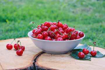 Red cherries in a plate on a tree stump with a crack and tree rings texture. Fresh summer harvest.