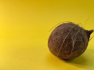 on a yellow background lies a coconut