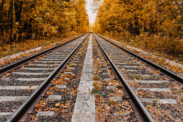 Close-up of rails and sleepers extending into the distance, landscape of the park, autumn leaf fall