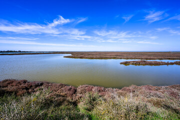 Paysage de Camargue