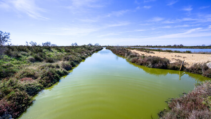 Paysage de Camargue