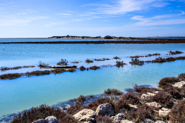 Paysage de Camargue